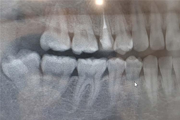 歯科口腔外科
